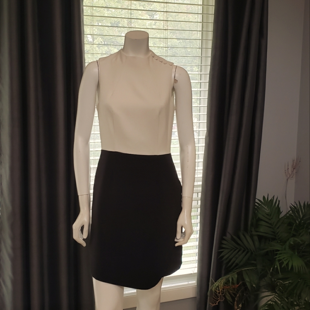 Black and cream dress